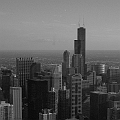 Chicago 116